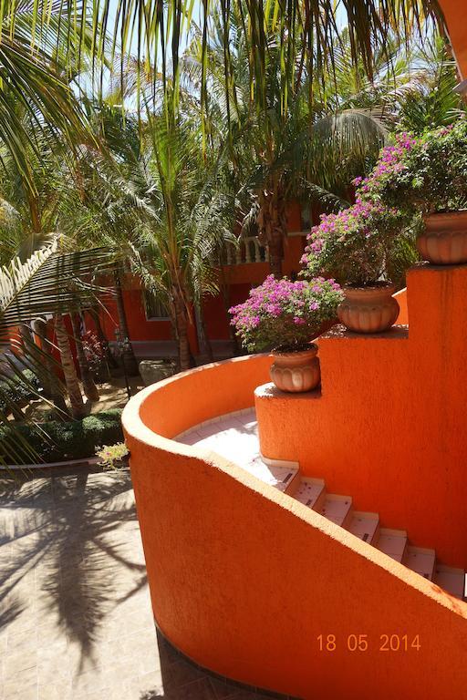 Oasis Los Cabos Hotel Cabo San Lucas Exterior photo